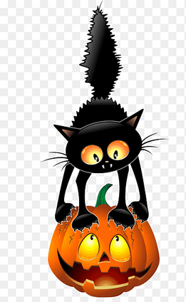 black cat pumpkin, black cat, pumpkin png thumbnail