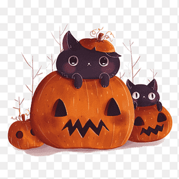 pumpkin and cat, pumpkins, black cat png thumbnail