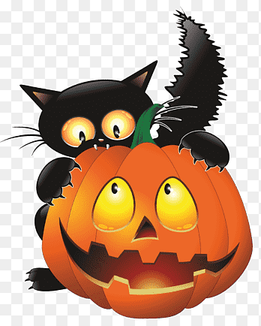 Cat Halloween, Witch Cat, cat Like Mammal, halloween Costume png thumbnail