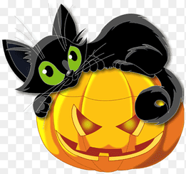 Black cat Halloween Kitten, Large Halloween Pumpkin with Black Cat, mammal, happy Halloween png thumbnail