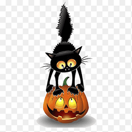 black cat with pumpkin, halloween, black cat png thumbnail