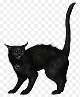 black cat illustration, Black cat Halloween, Creepy Black Cat, happy Halloween, mammal png thumbnail