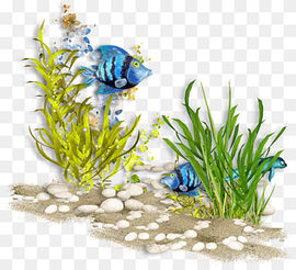 Underwater Sea World Ocean Coral reef, sea, presentation, grass, ocean png thumbnail