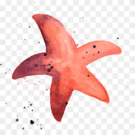 Starfish Marine invertebrates Watercolor painting Animal, starfish, animals, ocean, marine Biology png thumbnail