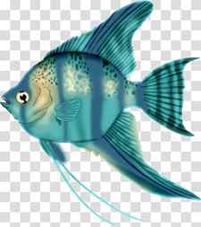 Coral reef fish Marine biology, fish transparent background PNG clipart thumbnail