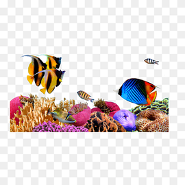 Sea Coral Desktop, seahorse, animals, marine Biology, underwater png thumbnail