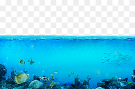 sea creatures, Underwater Sea, The underwater world, blue, swimming Pool, stone png thumbnail