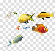 assorted-color fish, Deep sea fish Marine biology, deep sea fish transparent background PNG clipart thumbnail