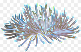 pink and blue sea anemone illustration, Sea anemone Coral, under water, watercolor Painting, purple, ink png thumbnail