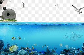 body of water illustration, Underwater World, Singapore Deep sea fish, The underwater world, blue, swimming Pool, computer Wallpaper png thumbnail