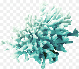 blue coral illustration, Coral Algae, sea, digital Image, seaweed, tree png thumbnail