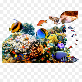 Coral reef fish Underwater, fish, animals, aquarium, computer Wallpaper png thumbnail