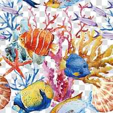 assorted fish , Coral reef fish , Tropical Fish transparent background PNG clipart thumbnail