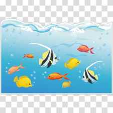 Coral reef fish Deep sea Marine biology Underwater, sea transparent background PNG clipart thumbnail