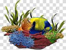 Coral reef Reef aquarium Sea, sea transparent background PNG clipart thumbnail