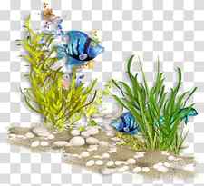 Underwater Sea World Ocean Coral reef, sea transparent background PNG clipart thumbnail