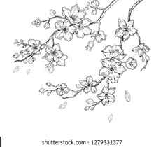 Cherry Blossom Drawing Images Free Download on Freepik