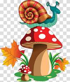 mushroom agaric tree transparent background PNG clipart thumbnail