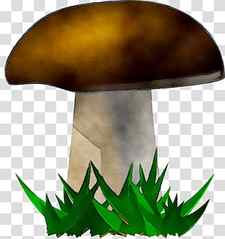 Drawing Tree, Mushroom, Fungus, Mushroom Festival, Food, Leaf, Bolete, Grass transparent background PNG clipart thumbnail