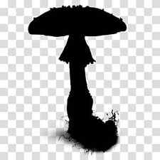 Silhouette Tree, Mushroom, Umbrella transparent background PNG clipart thumbnail