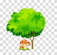 Tree , Cartoon tree mushrooms transparent background PNG clipart thumbnail