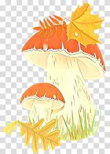 Autumn Fruit, Character, Commodity, Leaf, Tree, Plants, Orange Sa, Mushroom transparent background PNG clipart thumbnail