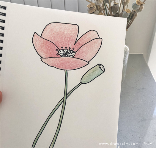 Teacher showing simple memorial day art and craft of a poppy.