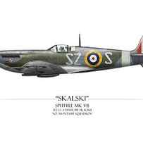 Polish Spitfire Mk V - White Background by Craig Tinder