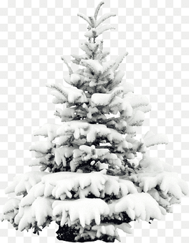 pine tree covered with snow, Snow Tree Pine Christmas, Snow pine, white, winter, decor png thumbnail