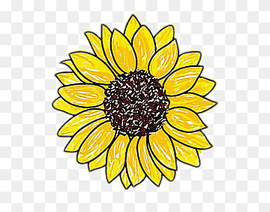 Drawing Of Family, Sunflower, Pencil, 2018, Howto, Coloring Book, Doodle, Tutorial, Drawing, Sunflower, Pencil png thumbnail