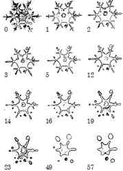 Sequence of illustrations of stellar dendrite snowflake metamorphosing and rounding off