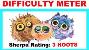 3 Hoots