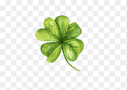 Four-leaf clover Computer file, Clover painted, watercolor Painting, painted png thumbnail