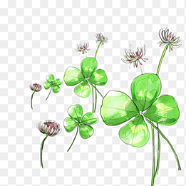 Four-leaf clover, Clover flower material, leaf, speech Balloon png thumbnail