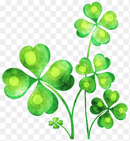 Ireland T-shirt Four-leaf clover Shamrock, Painted green clover, watercolor Painting, leaf png thumbnail