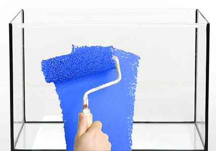 Painting the background of a glass aquarium in blue paint