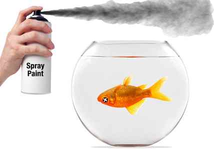 Toxic paint used on aquarium killing fish