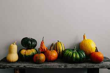 Variety of Pumpkins, healthy, autumn, fall, vegetable, halloween HD wallpaper