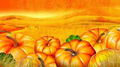 The Pumpkin Patch, firefox persona, orange, harvest, thanksgiving HD wallpaper