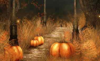 Pumpkins Halloween HD Wallpaper, pumpkins of ground painting HD wallpaper