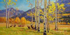 Aspen Tree Art Prints