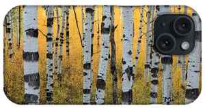 Aspen Tree Phone Cases