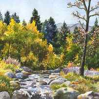 Creek at Caribou Ranch by Anne Gifford