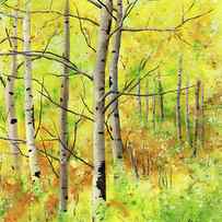 Spring Aspens by Hailey E Herrera