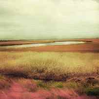 Wide Open Spaces by Amy Tyler