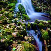 Cascade Creek by Chad Dutson