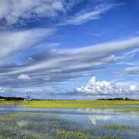 Lowcountry Flood Tide II by Dustin K Ryan