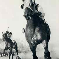 Seabiscuit Horse Racing #3 by Retro Images Archive