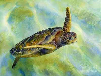 Wall Art - Painting - Sea Turtle 2 by Hailey E Herrera