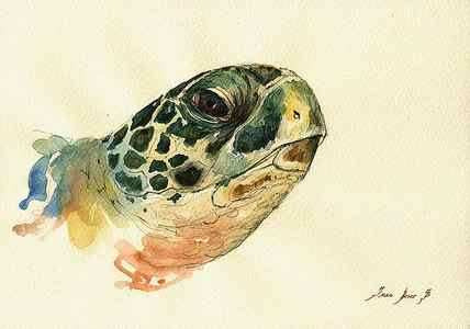 Wall Art - Painting - Marine turtle by Juan Bosco